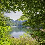 naturopathe haute loire