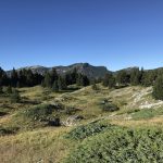 naturopathe