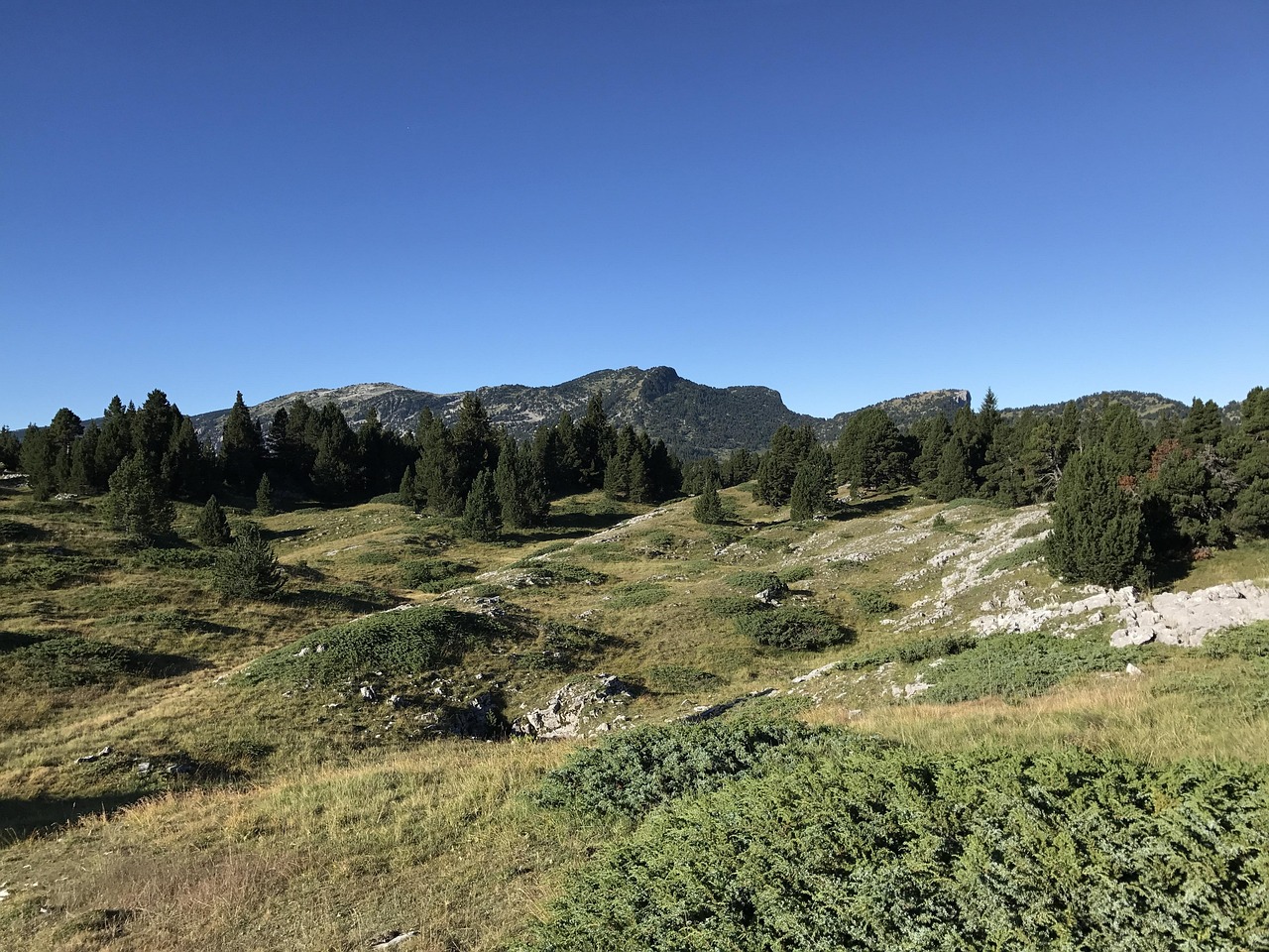 naturopathe